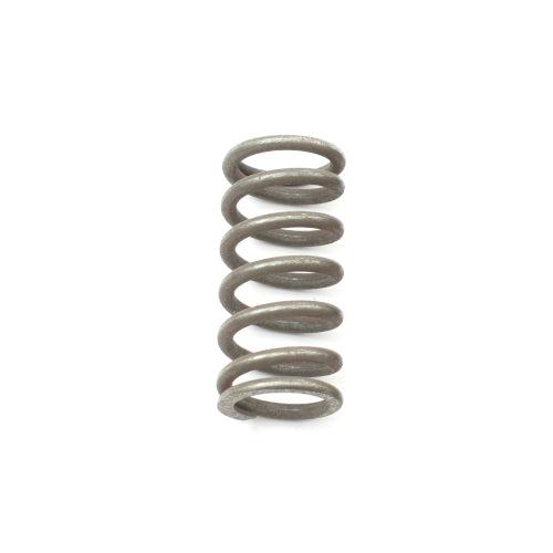 NOS Valve Springs - CC869449